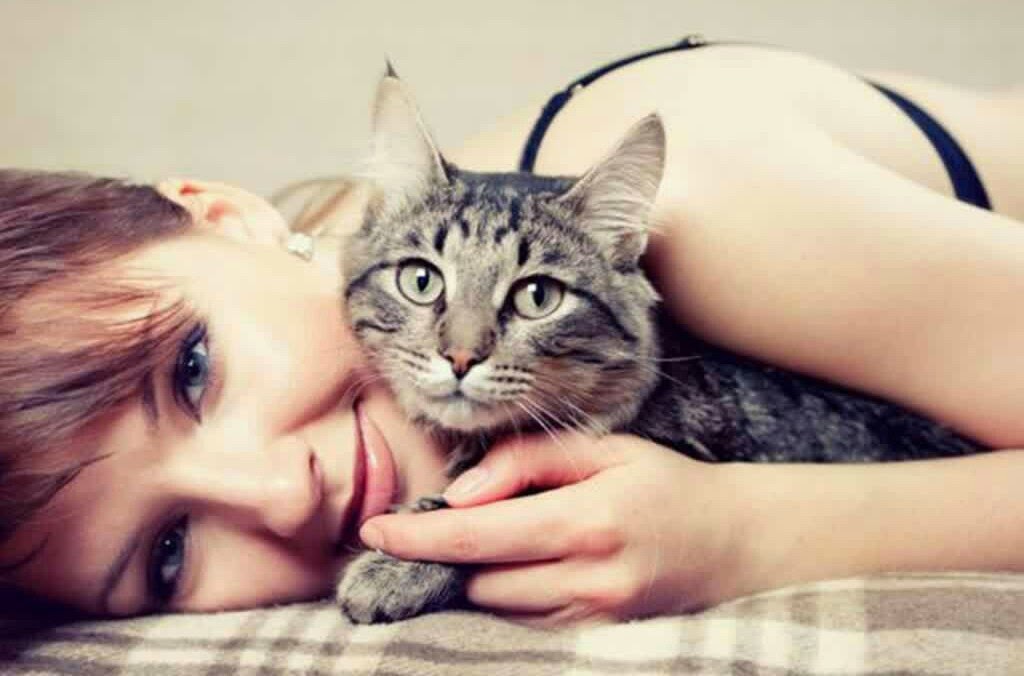 Kucing Penyebab Sulit Punya Anak Bahkan Mandul Pada Wanita