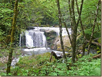 Forest Waterfall Forest Waterfall