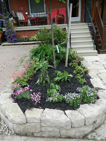 New Wychwood Toronto front garden perennial bed After by Paul Jung Gardening Services--a Toronto Gardening Company