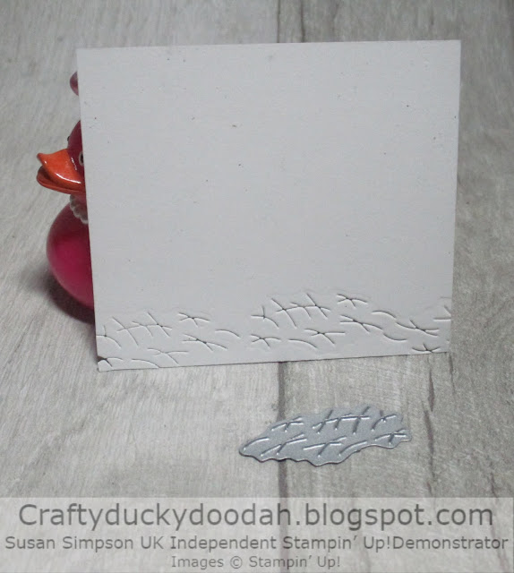 Craftryduckydoodah, Hey Chick, Hey Birthday Chick, Stampin' Up,