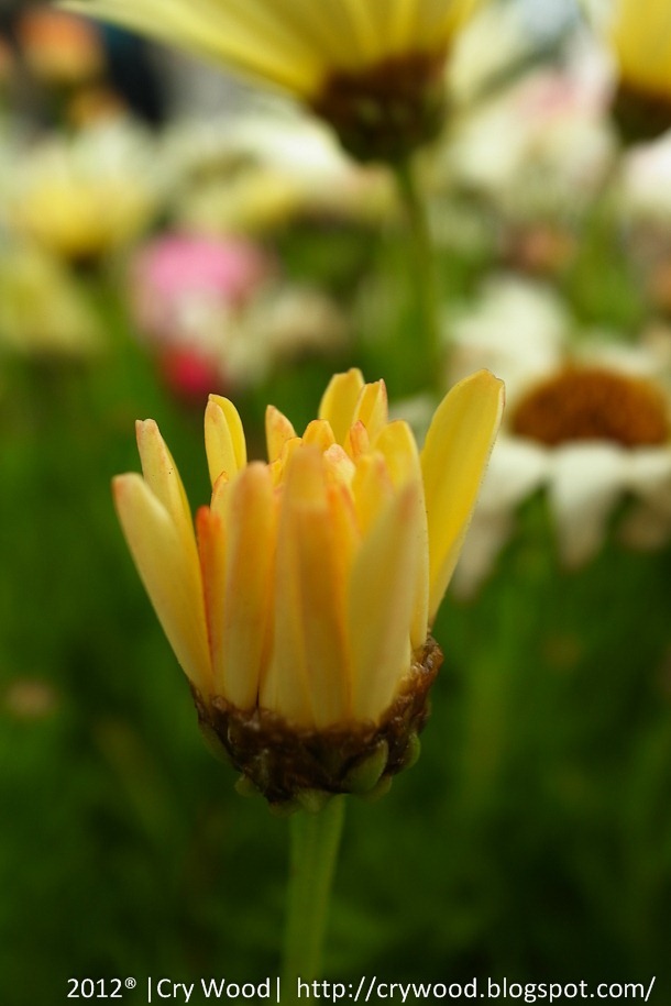 R0059256
