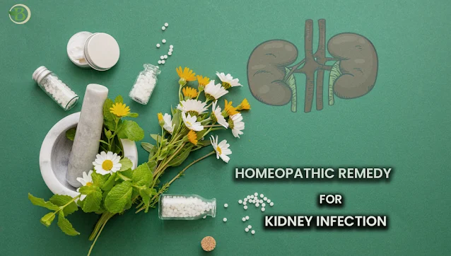 homeopathic remedy for kidney infection