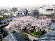 Hidakagwa Wakayama. Esta ciudad japonesa cuenta con una tradición muy .