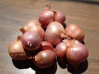 Shallots