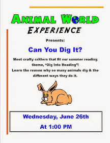 animal world experience