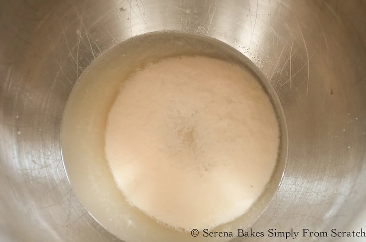 Foamy yeast in a stainless steel mixing bowl.