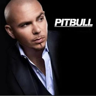 Pitbull - Break It Down Lyrics