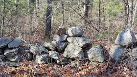 and yes, in New England forests you will find stone walls