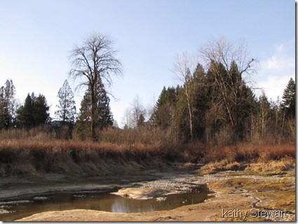 The first bay