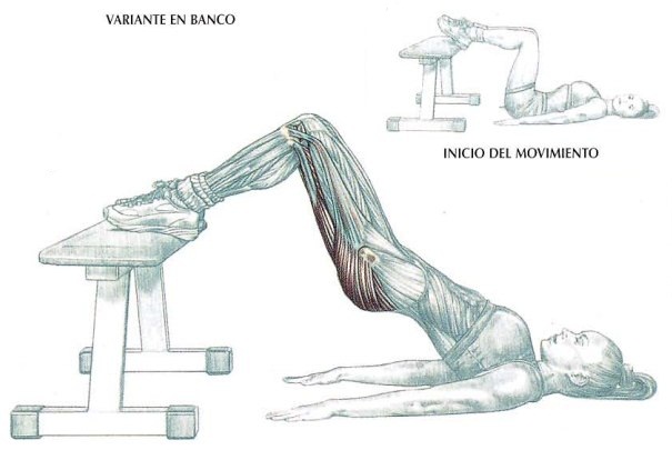Elevación de la pelvis en el suelo con los pies apoyados sobre un banco, ejercicio para glúteo | Rane Forti