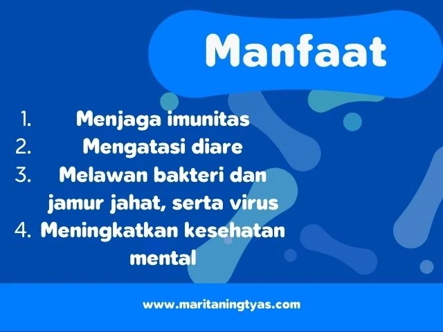 manfaat probiotik