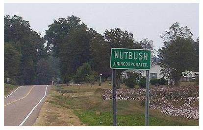 nutbush city