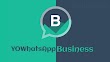 Download YoWhatsApp Business MiNi