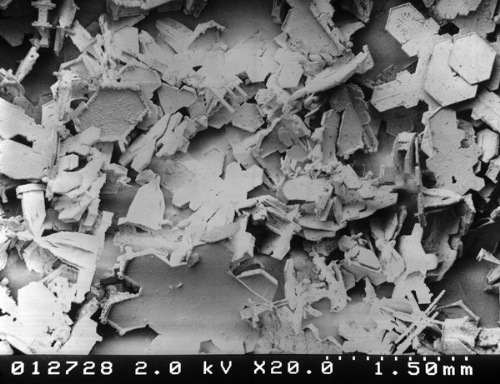 snow-microscope (7)