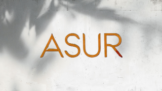 Asur: Welcome to Your Dark Side (2020)