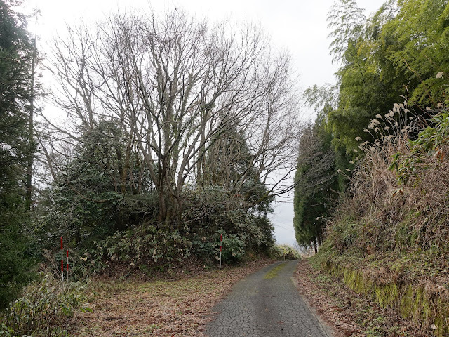 鳥取県日野郡江府町　大河原集落