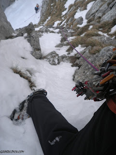 Guias de montaña en Picos de europa , alpinismo clasico, guiasdelpicu.com