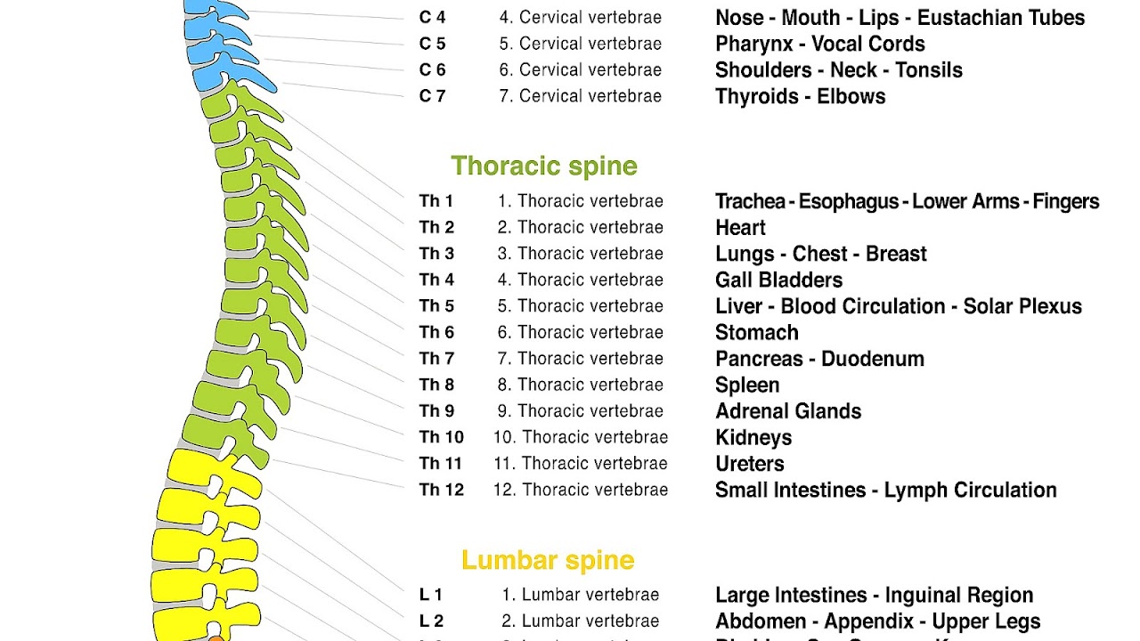 Cervical Spine Injury Symptoms