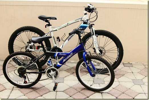 Raleigh 012