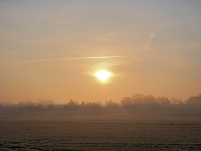 Landschaft bei Leopoldshöhe im Nebel