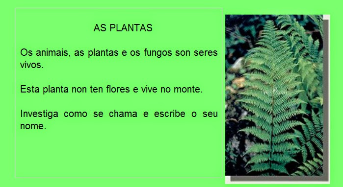 http://educalim.com/biblioteca/plantas/PLANTAS.html