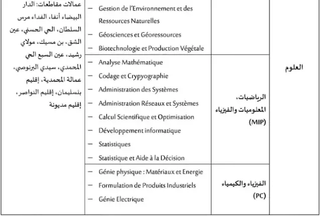 مسالك الاجازة بجامعة الحسن الثاني الدار البيضاء