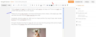 cara menyisipkan readmore bawaan blogger