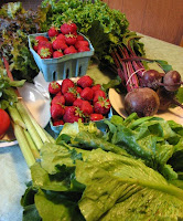 This week's CSA haul