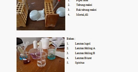 Heny Mulyani: Laporan Biologi 