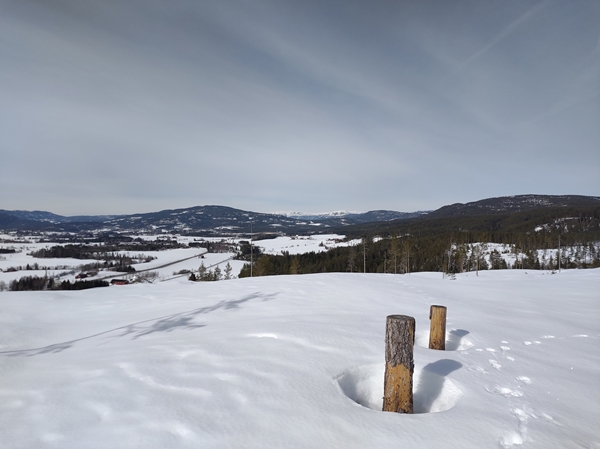 skautur bårnåsåsen