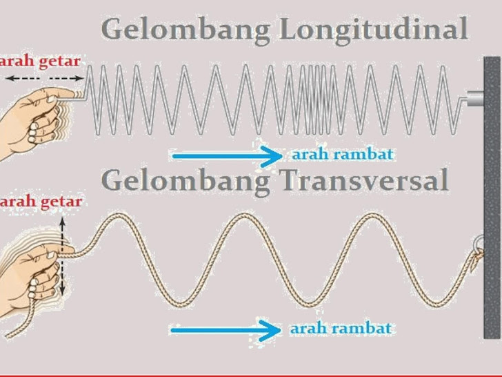 Perbedaan Gelombang Transversal dan Longitudinal