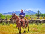 http://sicilyonhorseback.blogspot.com/2015/02/get-benefits-of-mountain-trekking-with.html