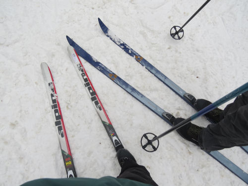 Roscommon Cross Country ski headquarters skis