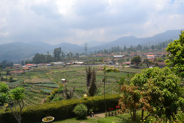 Villa di sekitar Kawah Putih 