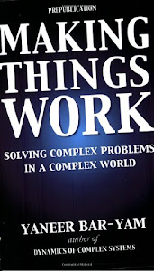 Making Things Work: Solving Complex Problems In A Complex World