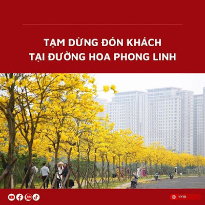  DỪNG ĐÓN KHÁCH CHECK-IN ĐƯỜNG HOA PHONG LINH TẠI HÀ NỘI 