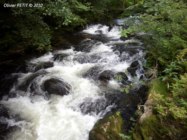 GERARDMER (88) - Le Saut des Cuves