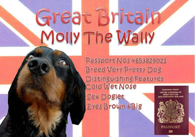 Molly The Wally Passport!