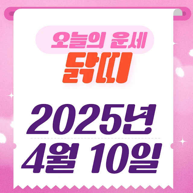 닭띠 오늘의 운세