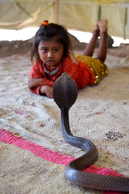 Indian village children taught to be snake caharmers at the age two Seen On www.coolpicturegallery.net