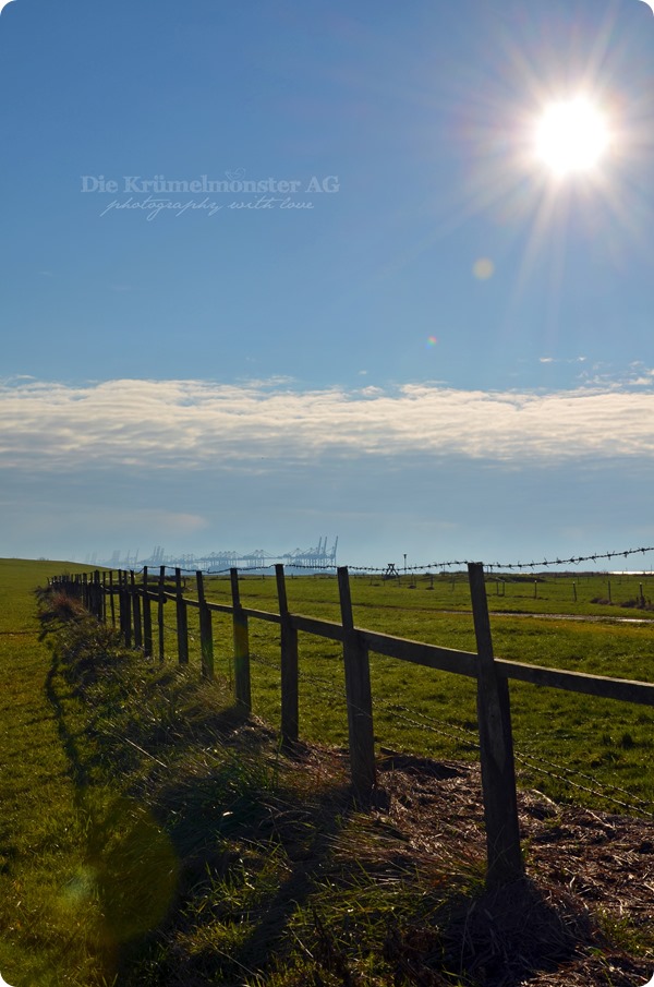 Sonnensamstag Wremen 231113 (17)