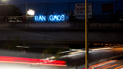 HONK - BAN GMO's Overpass Light Brigade