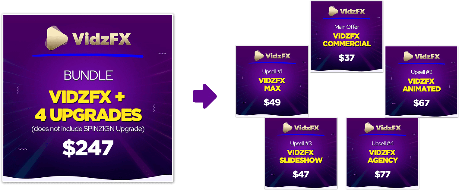 VidzFX bundle