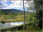 A few years ago, my husband and I revisited beautiful Costa Rica. (costa rica)