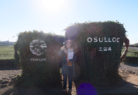 O'sulloc Tea plantation