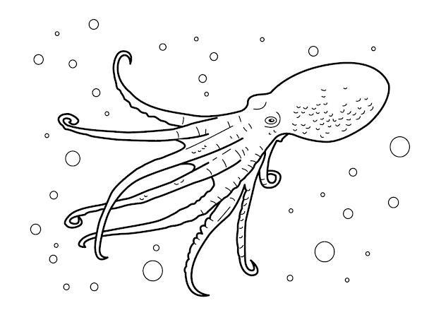 Colouring In Sea Creatures  Octopus Coloring Pages Printable Coloring Pages