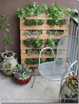 Pallet garden
