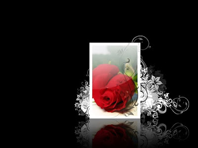 i love u rose wallpaper. i love u wallpaper. love