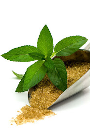 Mint and brown cane sugar peppermint with sugar close up