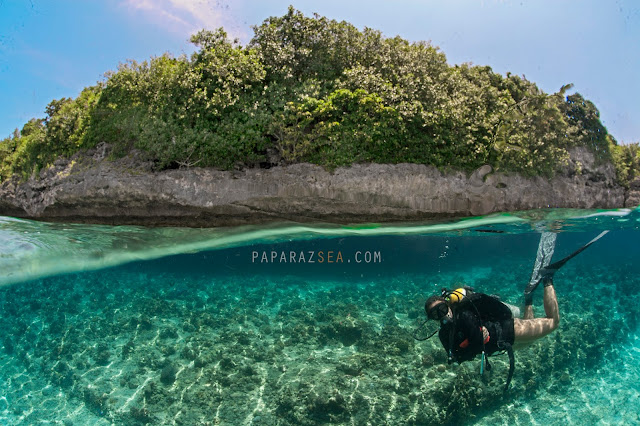 Scuba Diving, Underwater Photography, Dive Philippines, Dive Moalboal